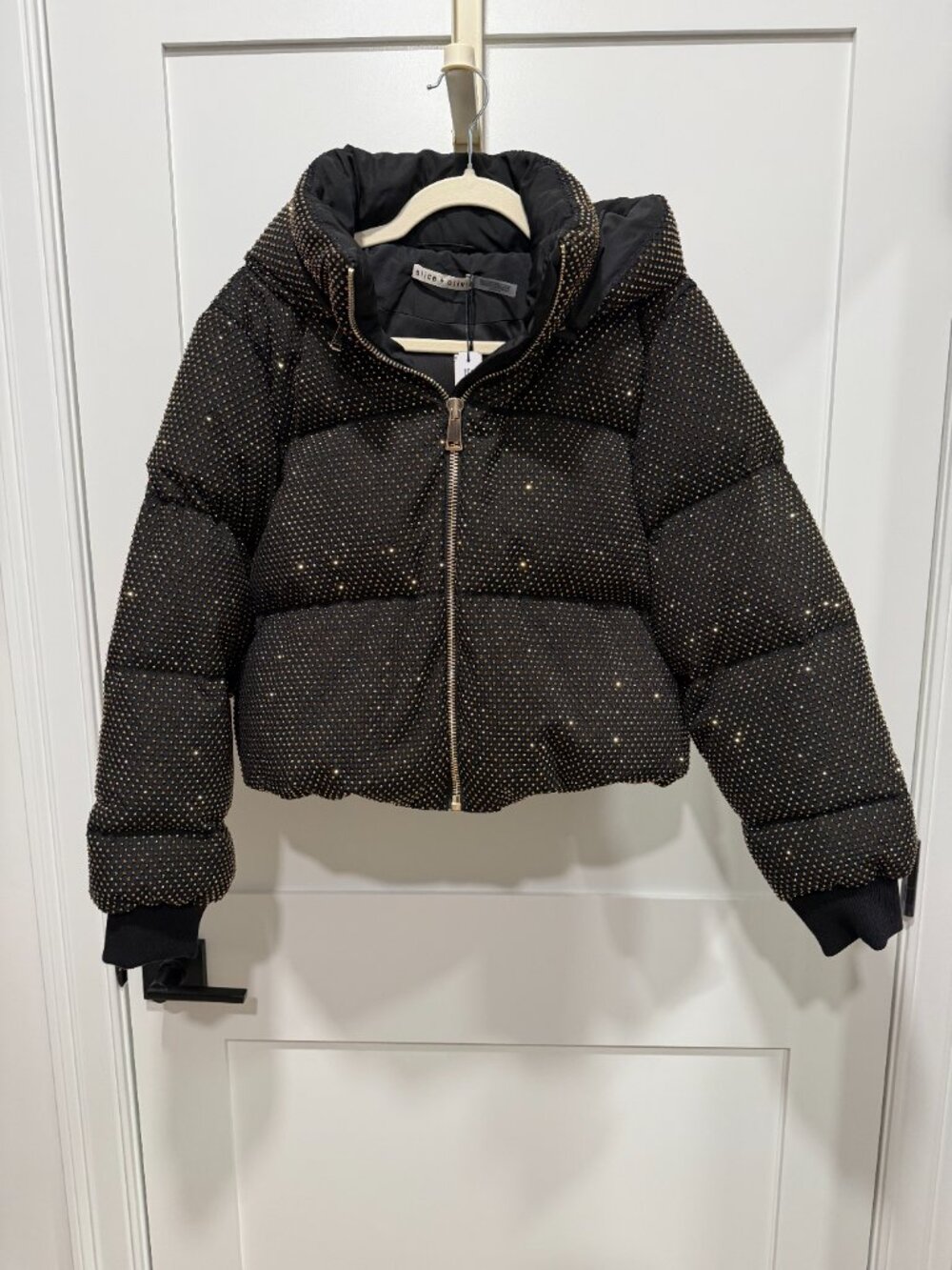 Alice and Olivia Jacket